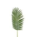 [2058-90] Palmunlehti 115 cm