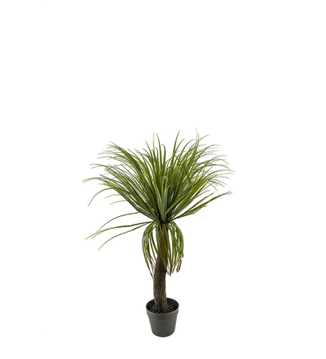 [7011-090] Palmu 90cm