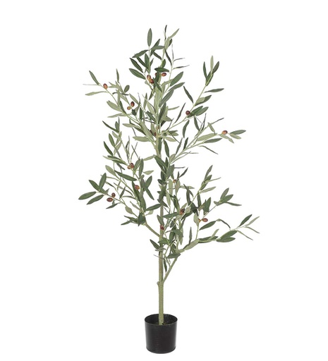 [7024-120] Oliivipuu 120 cm
