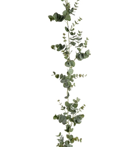 [9568-90] Eucalyptus köynnös 190 cm