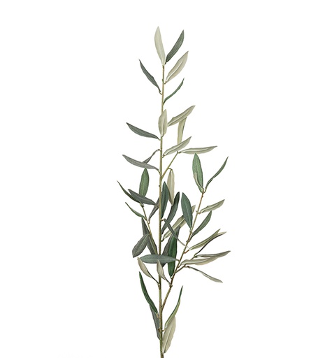 [2189-90] Oliivinoksa 50 cm