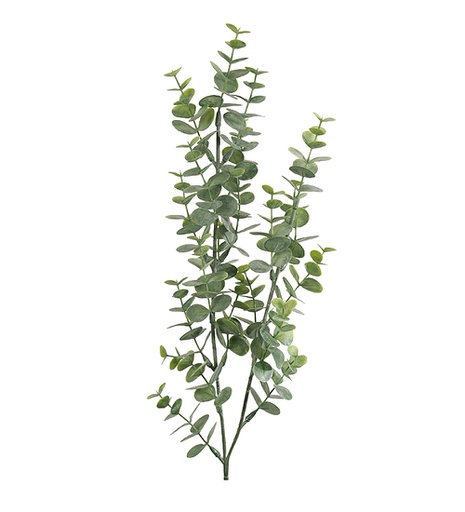 [7568-90] Eucalyptus 74 cm